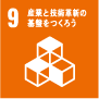 sdgs9