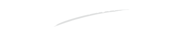 2029 vision