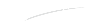 2029 vision